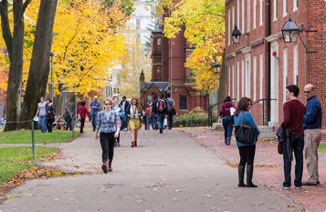 手机被攻击连续收电话